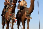 camel-riders