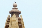 temple-bird-man